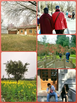 1504580101265618.bmp 微信圖片_20170905105402.bmp