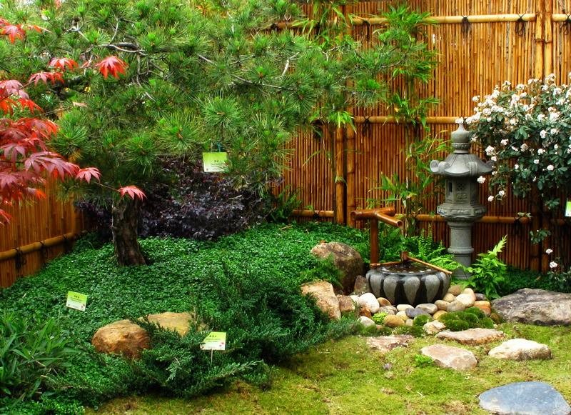 金輝中央云著項(xiàng)目示意圖