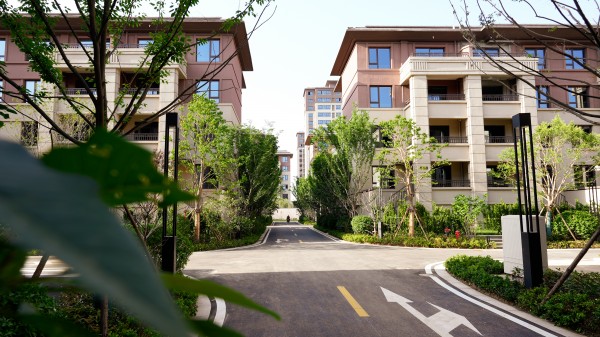 1694759830285990.jpg 9.jpg