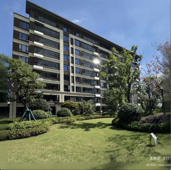 1723180880374376.jpg 5.JPG